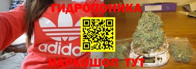 трава Гай