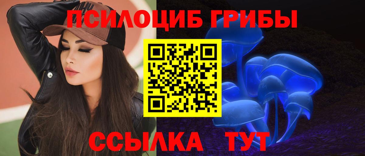 Тула  Псилоцибиновые грибы Psilocybe  Вход с VPN  Псилоцибиновые грибы мухоморы 